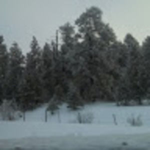 Meet your Posher, Micheal